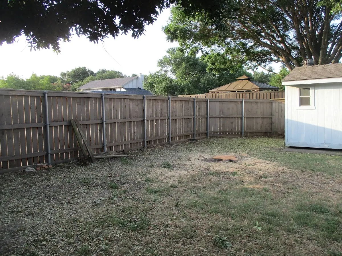 Cleared yard after professional tree removal in Roslyn Heights