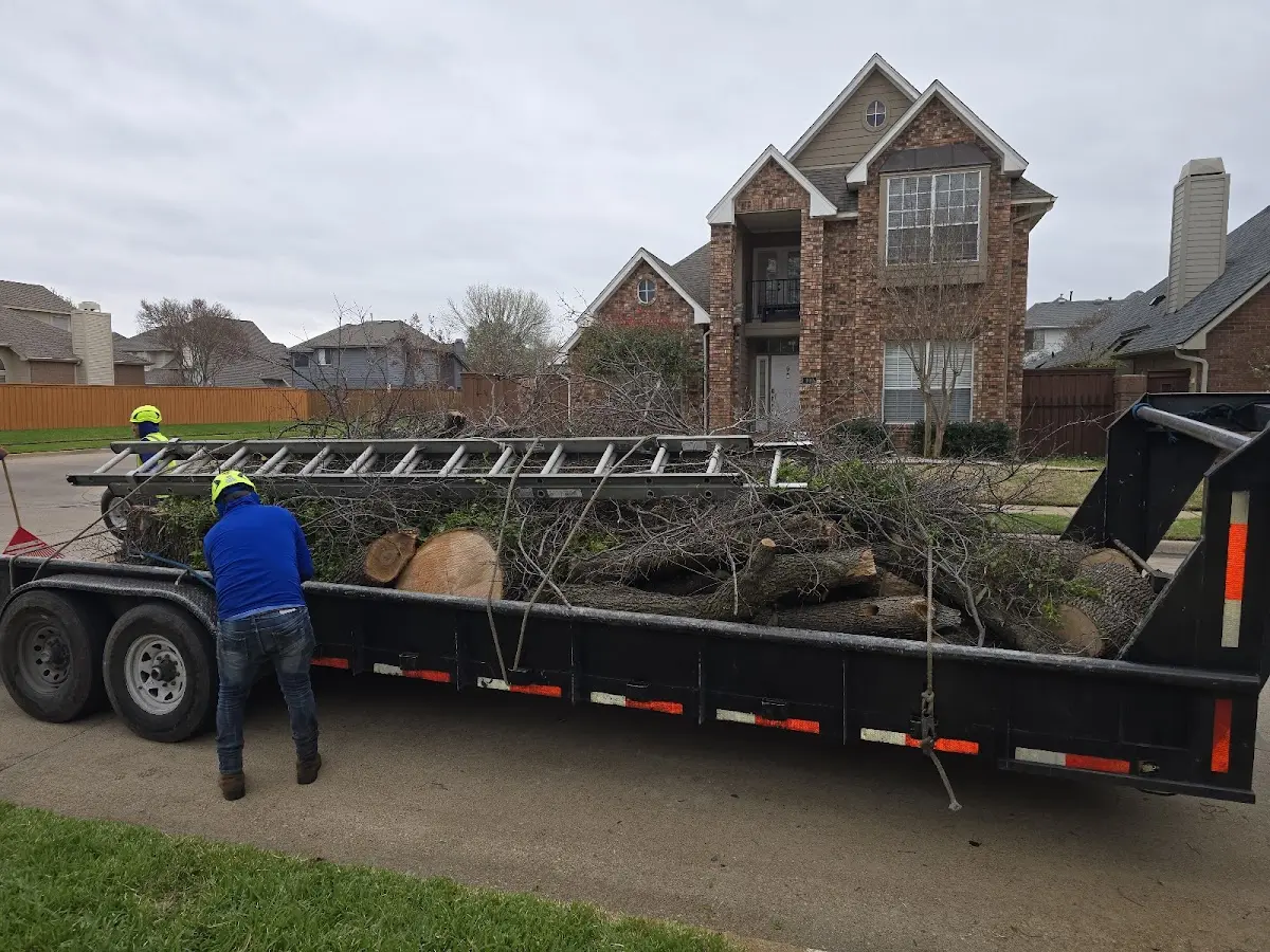 Expert Tree Pest Control with proper safety equipment in Roslyn Heights